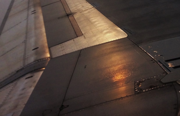 Wing